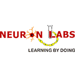 Neuron Labs School
