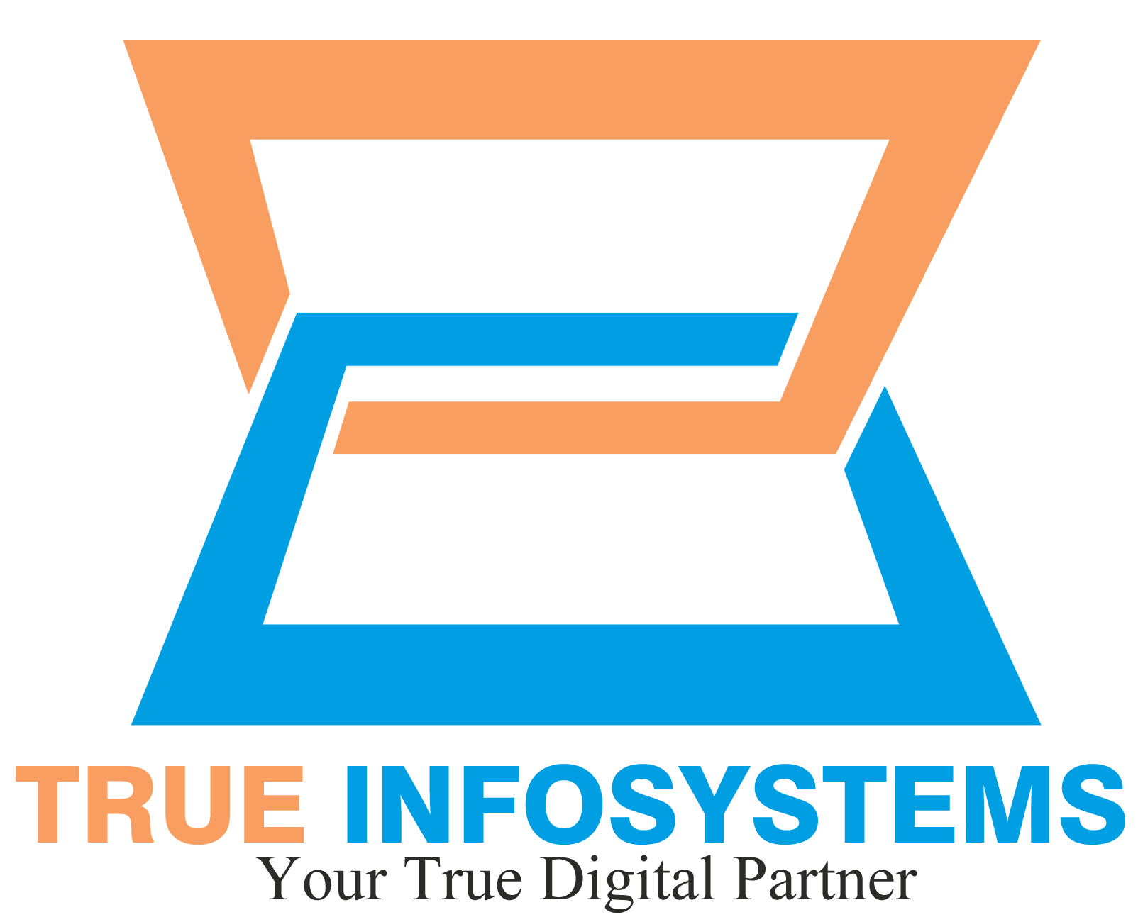 True Infosystems Pvt Ltd