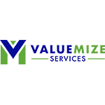 Valuemize Services